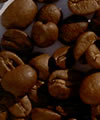 Caf�