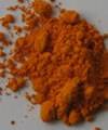 Curcuma